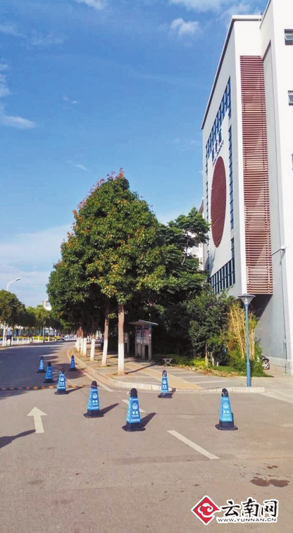  已签安全承诺书大学生假期留校身亡 学校需要负责吗