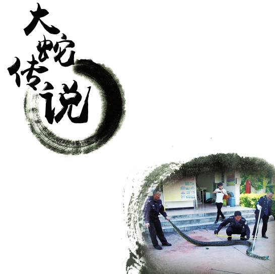  云南双柏大蛇传说 3.76米长蛇有百岁