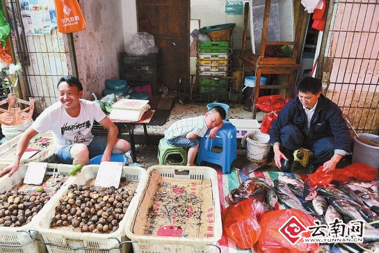  边写作业边卖菜昆明街头巷尾的练摊小能手