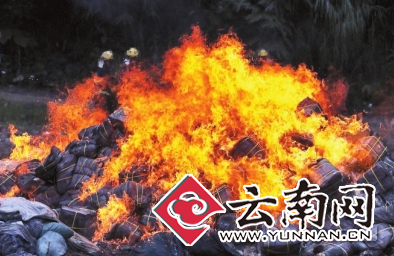  云南河口销毁走私冻品210吨 车门一打开臭得人想吐
