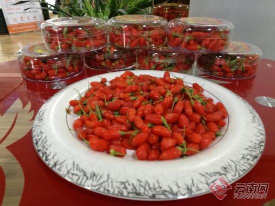 重点网络媒体看青海】农特产品搭上格尔木青