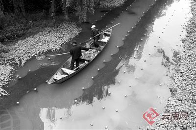 昆明官渡区对30家滇池治理与保护责任单位纳