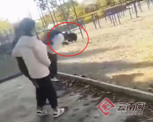 男生被同学持木棍击打后脑后直挺栽倒 官方回应