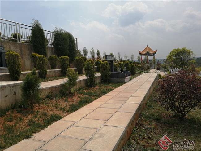 传新风话清明云南曲靖农村公益性公墓已覆盖所有乡镇