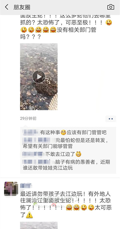 好吓人！有人在西双版纳澜沧江边放生大量蛇 放生是不是想放就能放