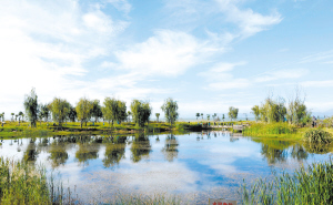 昆明今年再建7块湿地 滇池湿地面积将超6万亩
