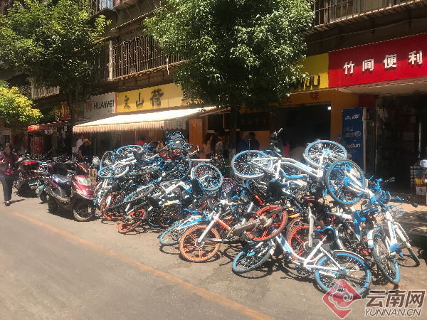 昆明翠湖附近共享单车堆积成山 市民：看着都觉得可惜