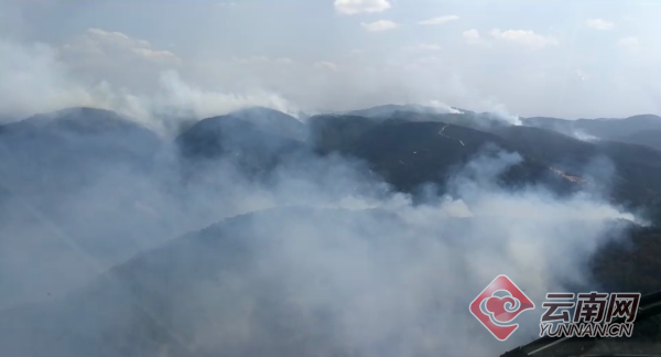 云南安宁森林火灾追踪：明火未灭仍在扑救 火线过火面积超500亩