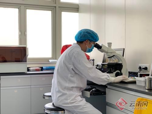 云南省人类精子库正式运行 已储存1000多份精子标本