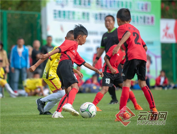云南足协青少年后备力量比赛收兵 3200人参赛创历史新高