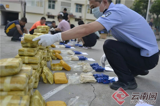 云南西双版纳边境管理支队今年缴毒量突破1吨