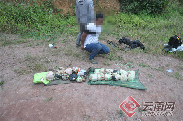 云南勐腊警方破获一起毒品案 查获毒品36公斤