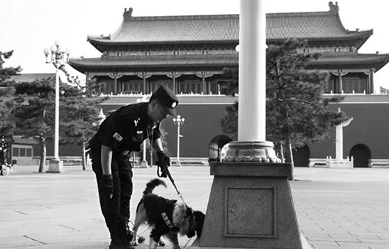 云南两民警携警犬赴京 完成国庆安保光荣归来