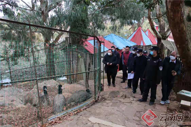 云南省林草局成立专家组 强化野生动物疫源疫病监测防控