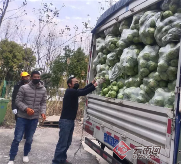 昆明呈贡区坚守疫情防控一线的1157名环卫工人获赠6吨爱心蔬菜