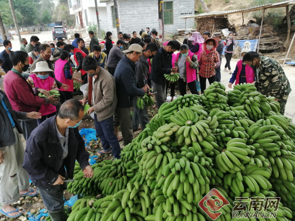 “我们在一起！”​云南红河县向湖北宜昌捐赠26吨水果助力抗疫