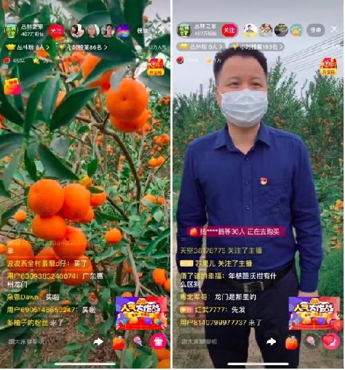 十位县长西瓜视频直播“带货” 滞销农产品成畅销