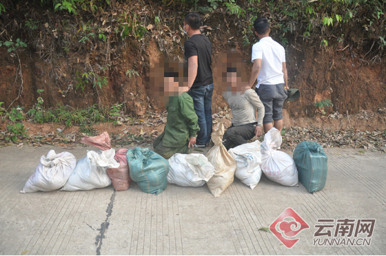 云南勐腊警方破获贩毒大案 缴获毒品逾176公斤