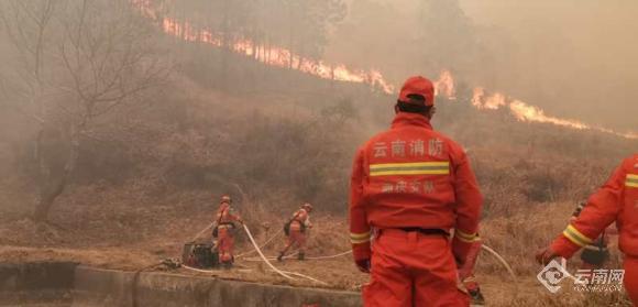 迪庆州消防救援支队：全力扑救“3.29”森林火灾