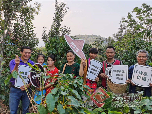 让云南咖农过上好生活 星巴克携手中国扶贫基金会启动了这个项目