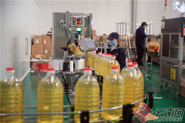 宣威gdp_恭喜 云南省民营经济综合10强县出炉,麒麟 宣威入榜(3)