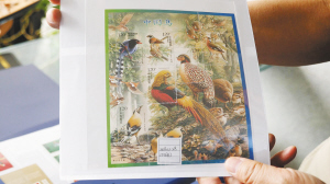 获吉尼斯颁发“全球最全鸟类邮票”证书 金飞豹：期待昆明建鸟类博物馆