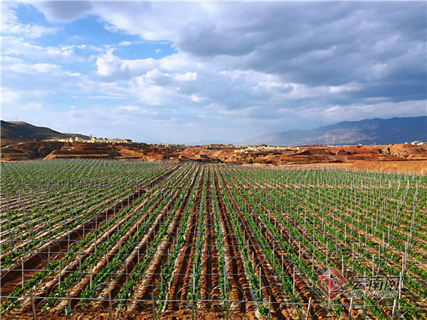 云南元谋县土地整理项目将新增耕地1.5万亩