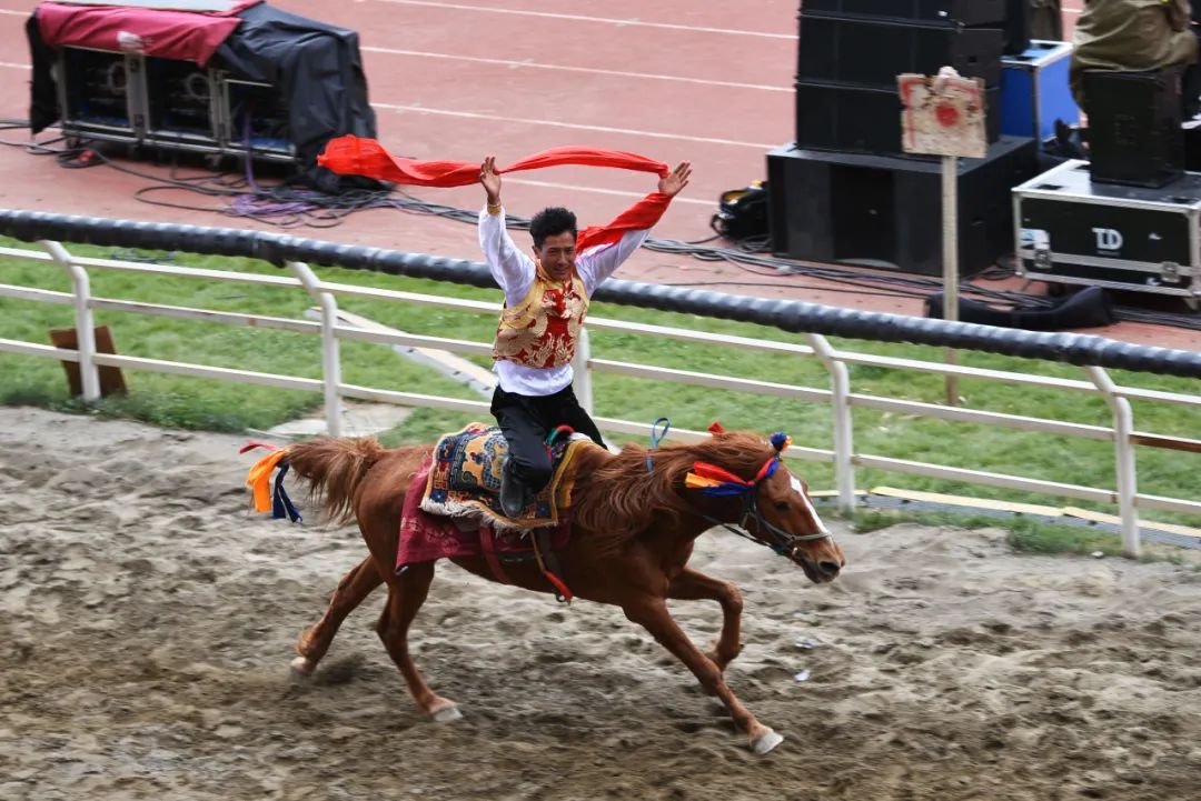 【提醒】2020年香格里拉端午赛马节延期举办