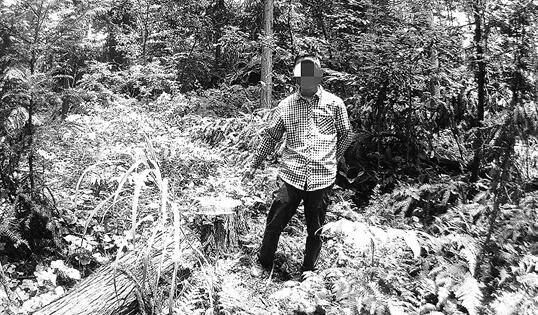 昭通市彝良县一男子无证砍了8棵树被责令补种40棵