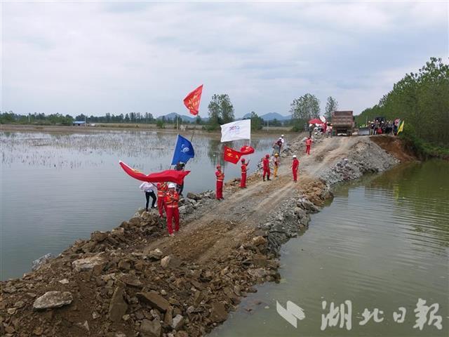 阳湖镇有多少人口_青湖镇有多少个村(2)