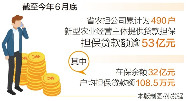 海南省农担公司上半年新增担保贷款额约16.5亿元 解决农业“融资难”