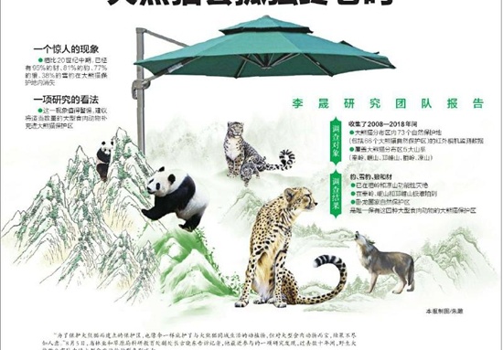 保护区内大型食肉动物种群锐减 大熊猫会孤独终老吗？