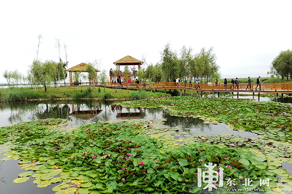 三江平原湿地生态文化季开幕