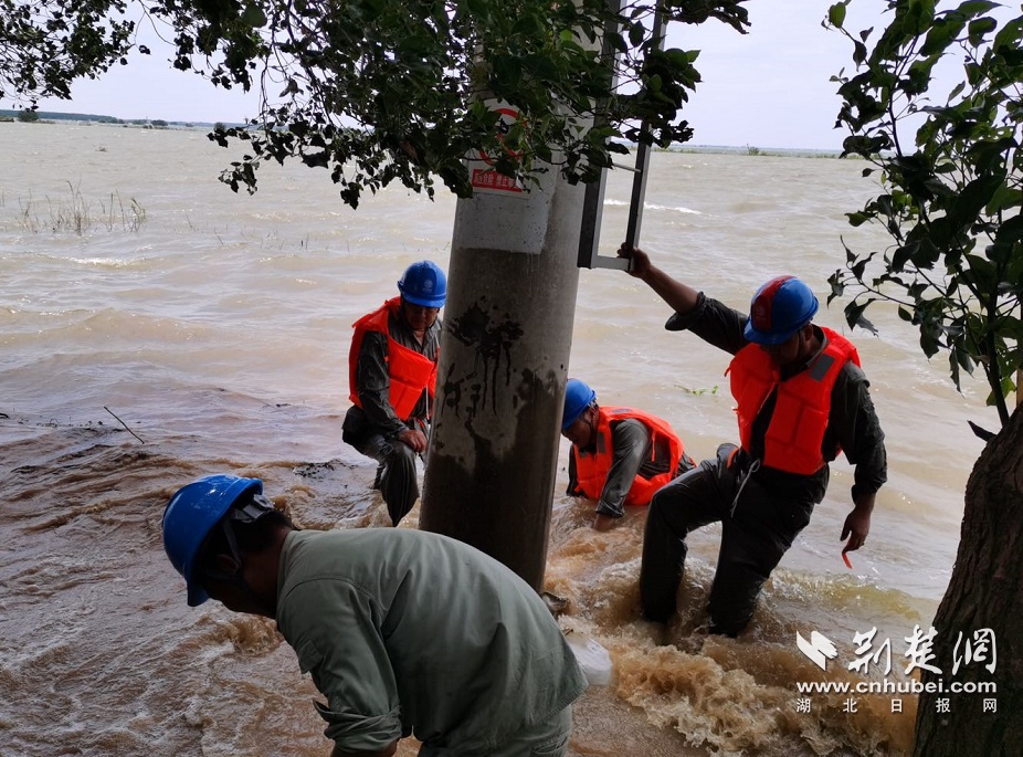 洪水退后 蔡甸供电员工水中浸泡6小时全力除险复电