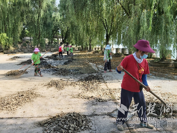 武汉市新洲区集中开展河堤清淤行动