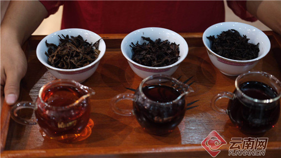 最新酵藏体系让普洱茶更健康好喝 ——太俊林·太和酵藏体系在宁洱发布