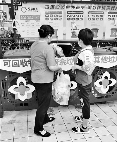 北京北太平庄街道：小小志愿者桶前值守忙