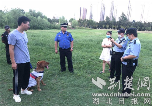 襄阳高新城管开展专项整治行动 倡导市民文明养犬