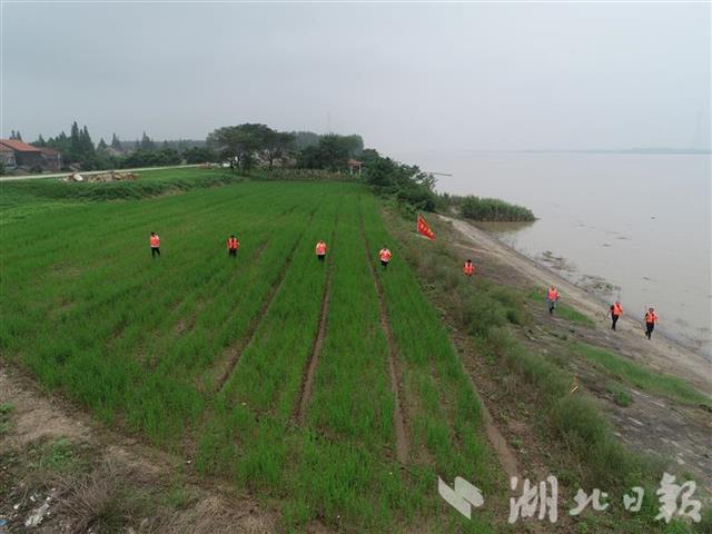 长江干流水位返涨 湖北省启动水旱灾害防御Ⅳ级应急响应