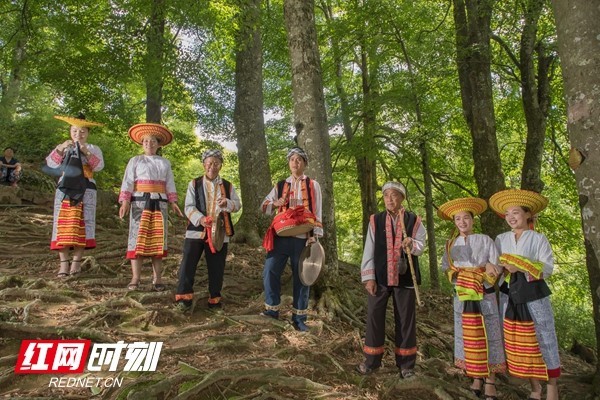 夏旅节丨隆回文化体验：步入古树林 感受花瑶韵