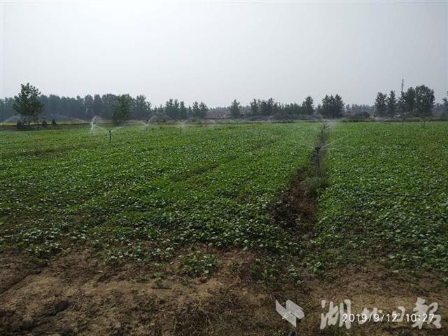 湖北省新增21个节水型社会创建县