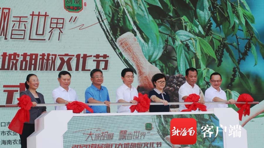 2020首届海口大坡胡椒文化节在海垦东昌农场公司举办