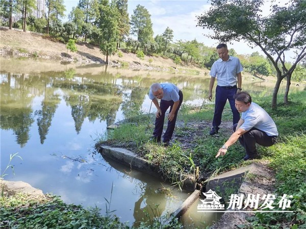 擦亮荆州古城文化名片 打造“一城活水、灵动荆州”的示范
