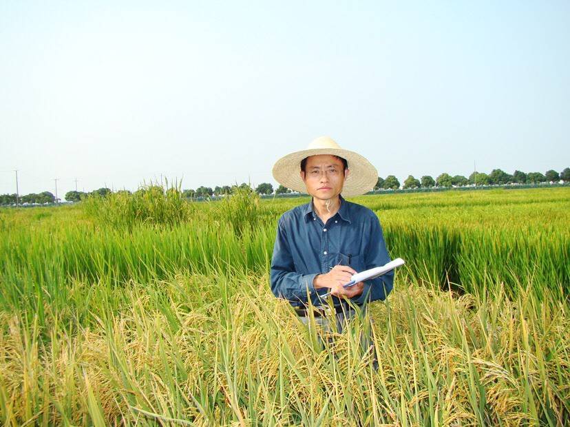 最美科技工作者|林鸿宣：保障粮食安全 他为水稻基因打上“中国标记”