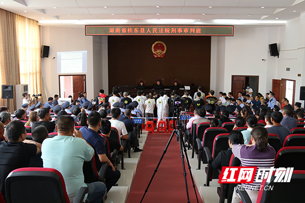 桂东法院公开审理一起涉恶犯罪案件