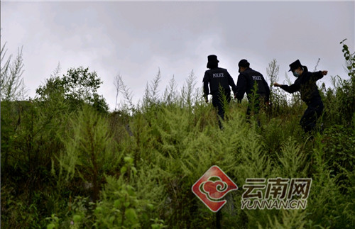 云南文山边境线有支“木棉花” 女子行动队