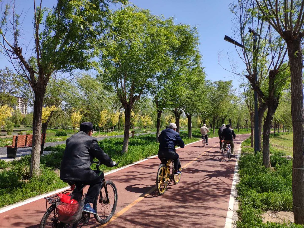 北京市凉水河两岸将建30公里自行车骑行道