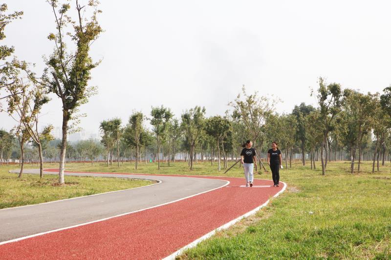 北京丰台年内再建27.5片“绿地+运动场”