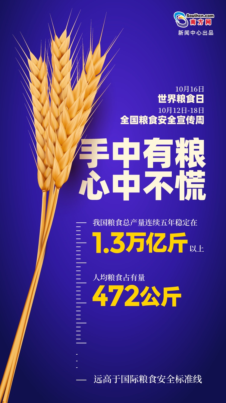 10·16 世界粮食日 | “中国饭碗”有多稳？这组数字让你更踏实！