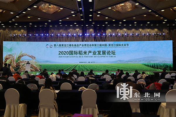 2020国际稻米产业发展论坛启幕